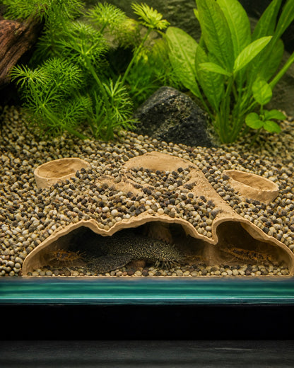 Under Gravel Cave