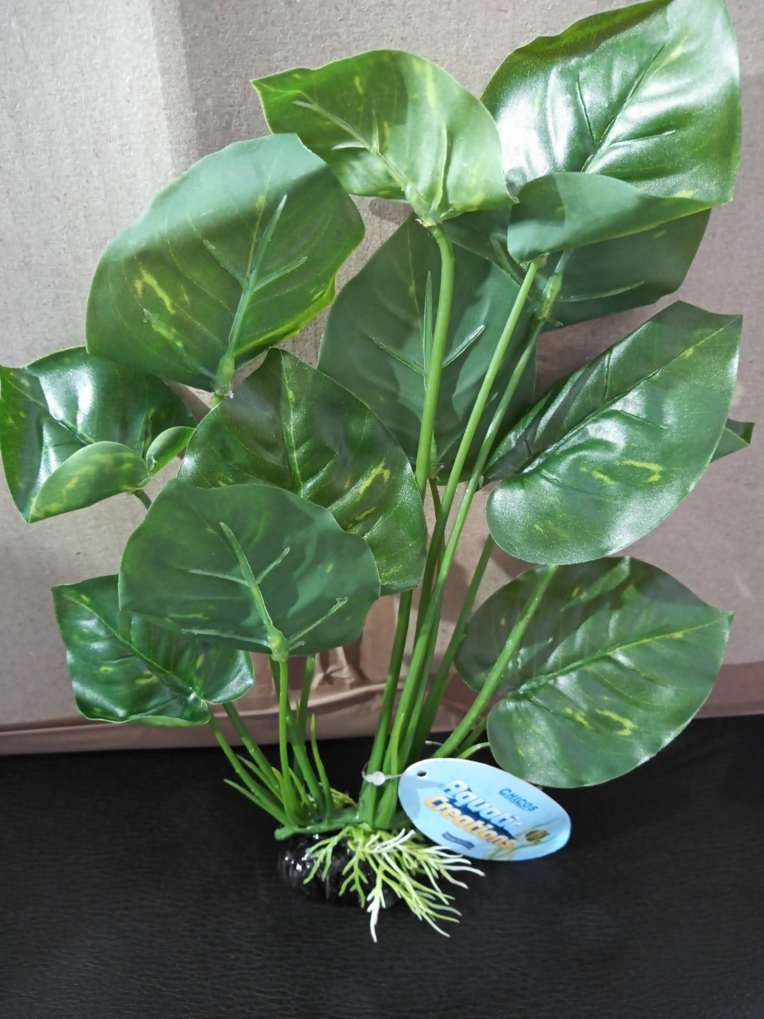 Chico's Silk Plant - Green Broad Leaf
