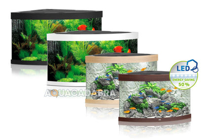 JUWEL TRIGON 350 LED Aquarium