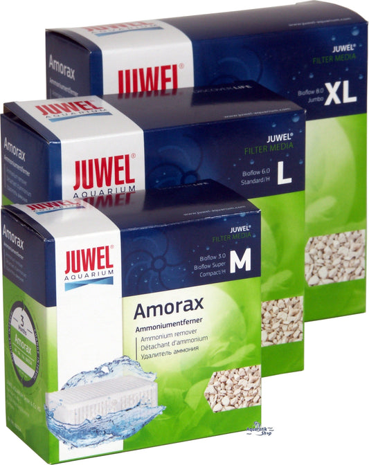 Juwel Amorax