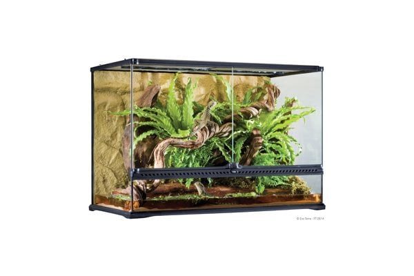 Exo Terra All Glass Terrarium - 60x45x30cm