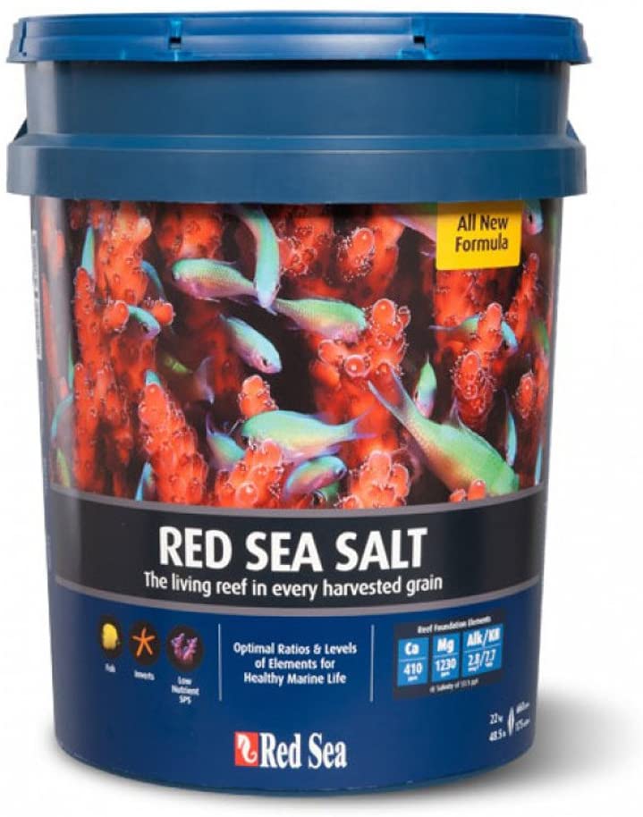 Red Sea Salt