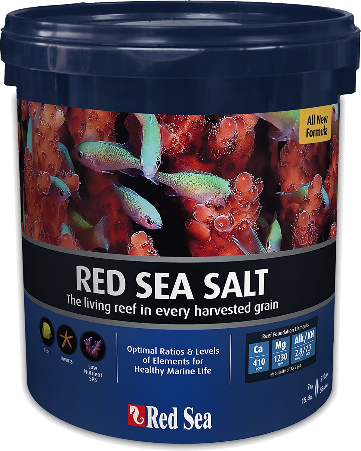 Red Sea Salt