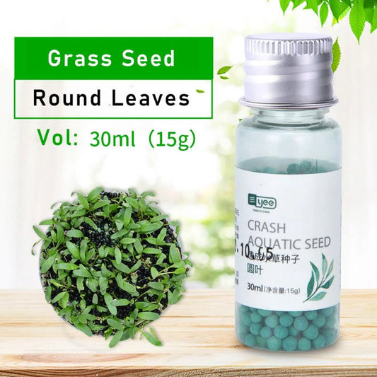 Crash Aquatic Planted Seeds