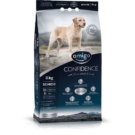 Amigo Confidence Senior
