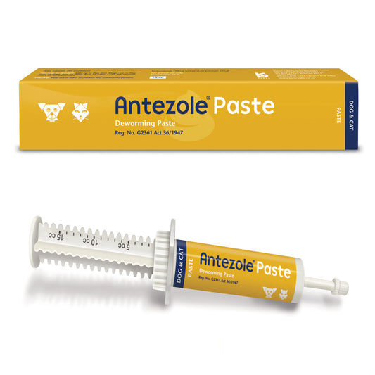 Antezole Paste - 15ML