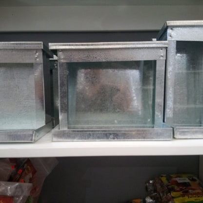 Daro Bird Metal Auto Feeder