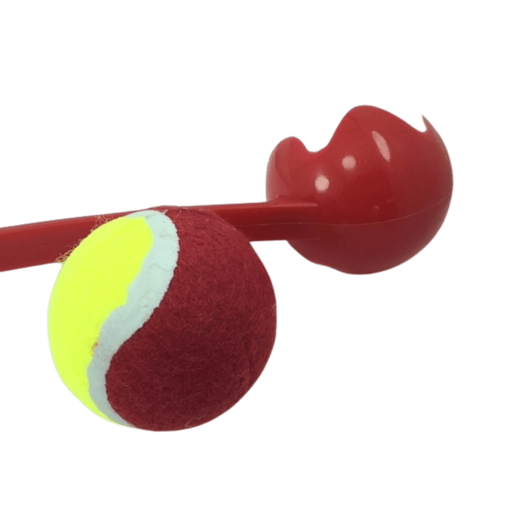 Marltons Ball Launcher
