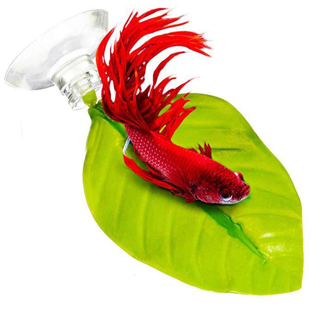 Betta Bed With Suction Cup - BB111