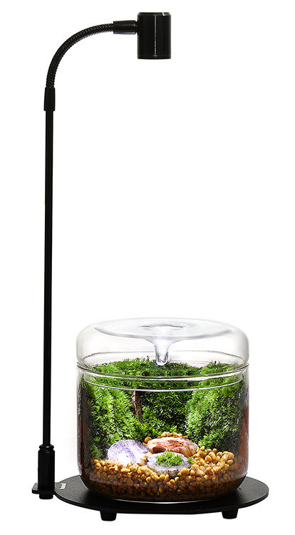 Bioloark DX-03 base and light