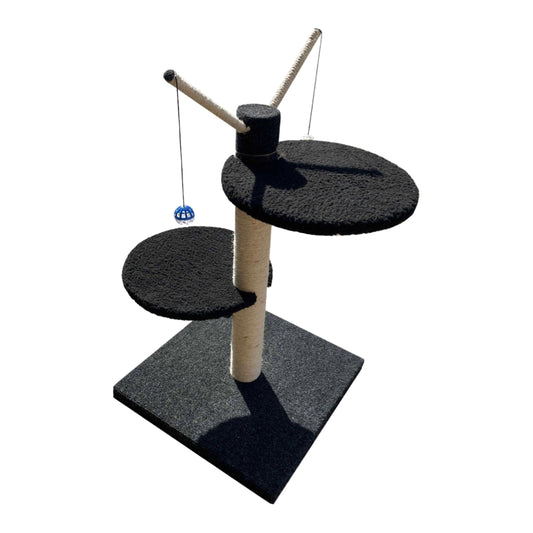 ScratzMe Black Footed Cat