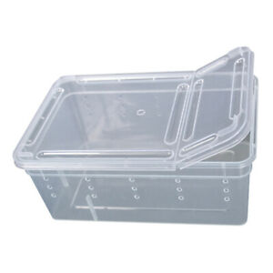Clear Plastic Box For Breeding/Transporting Reptiles