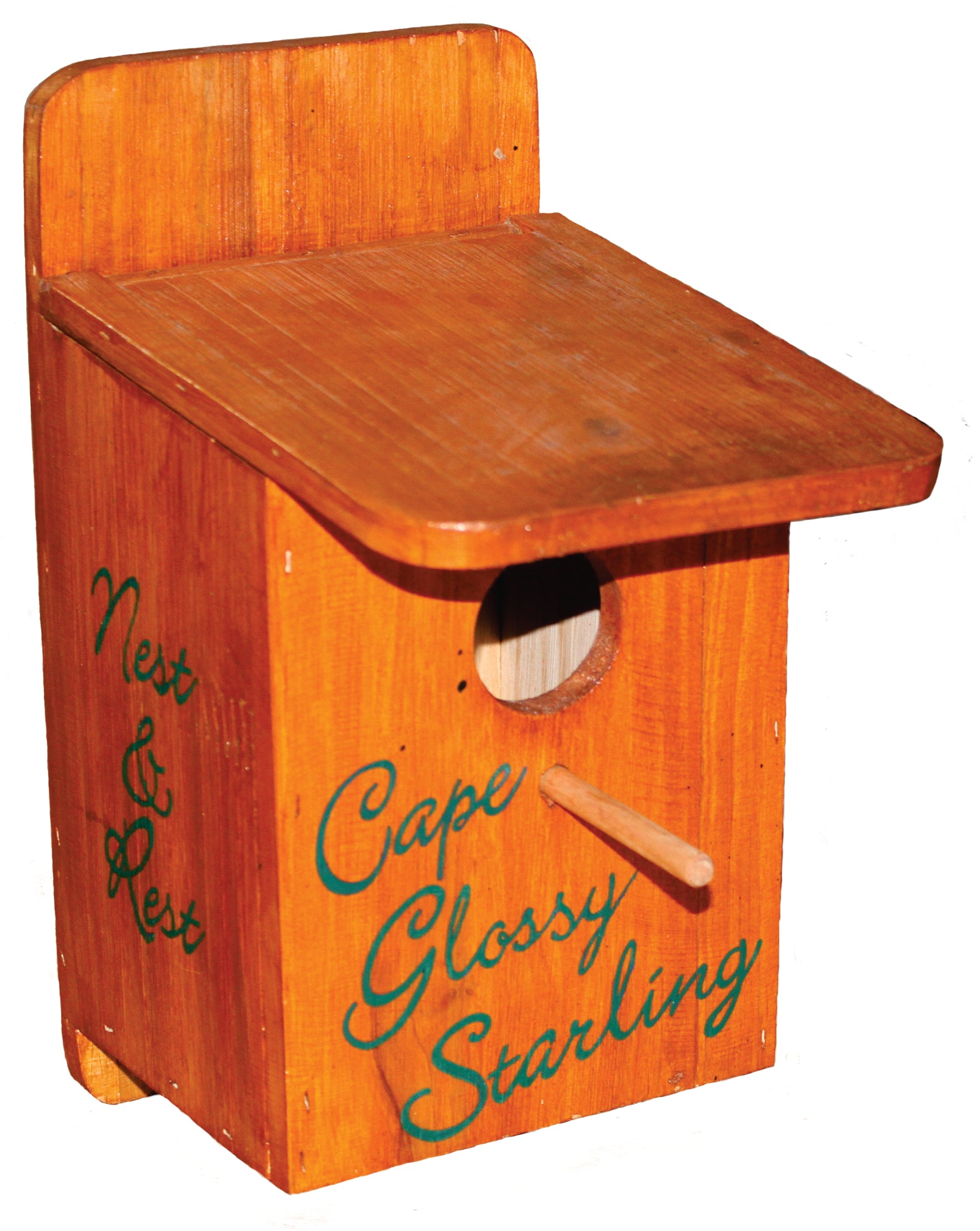 Elaine's Birding Cape Glossy Starling Nest Box