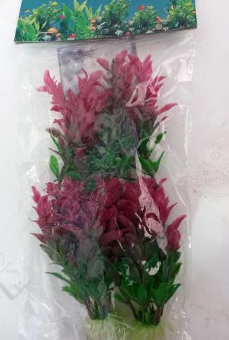 Assorted Double Pack  Of Plants