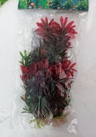 Assorted Double Pack  Of Plants