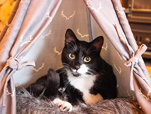 Rosewood Antler Hygge Teepee (Clearence Sale )