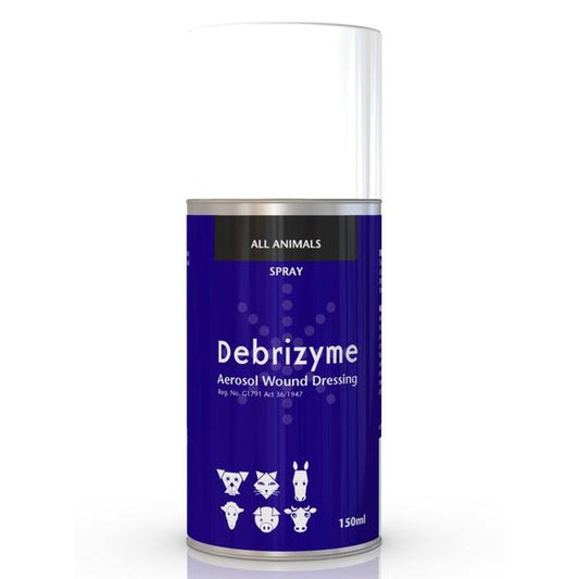 Debrizyme 150ML