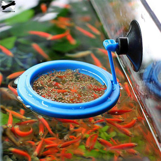 Koi Petco Feeding Ring