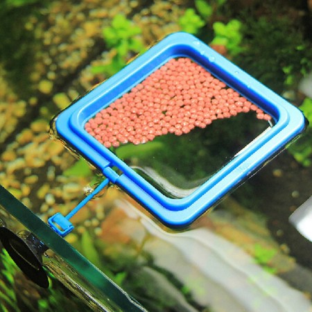 Koi Petco Feeding Square