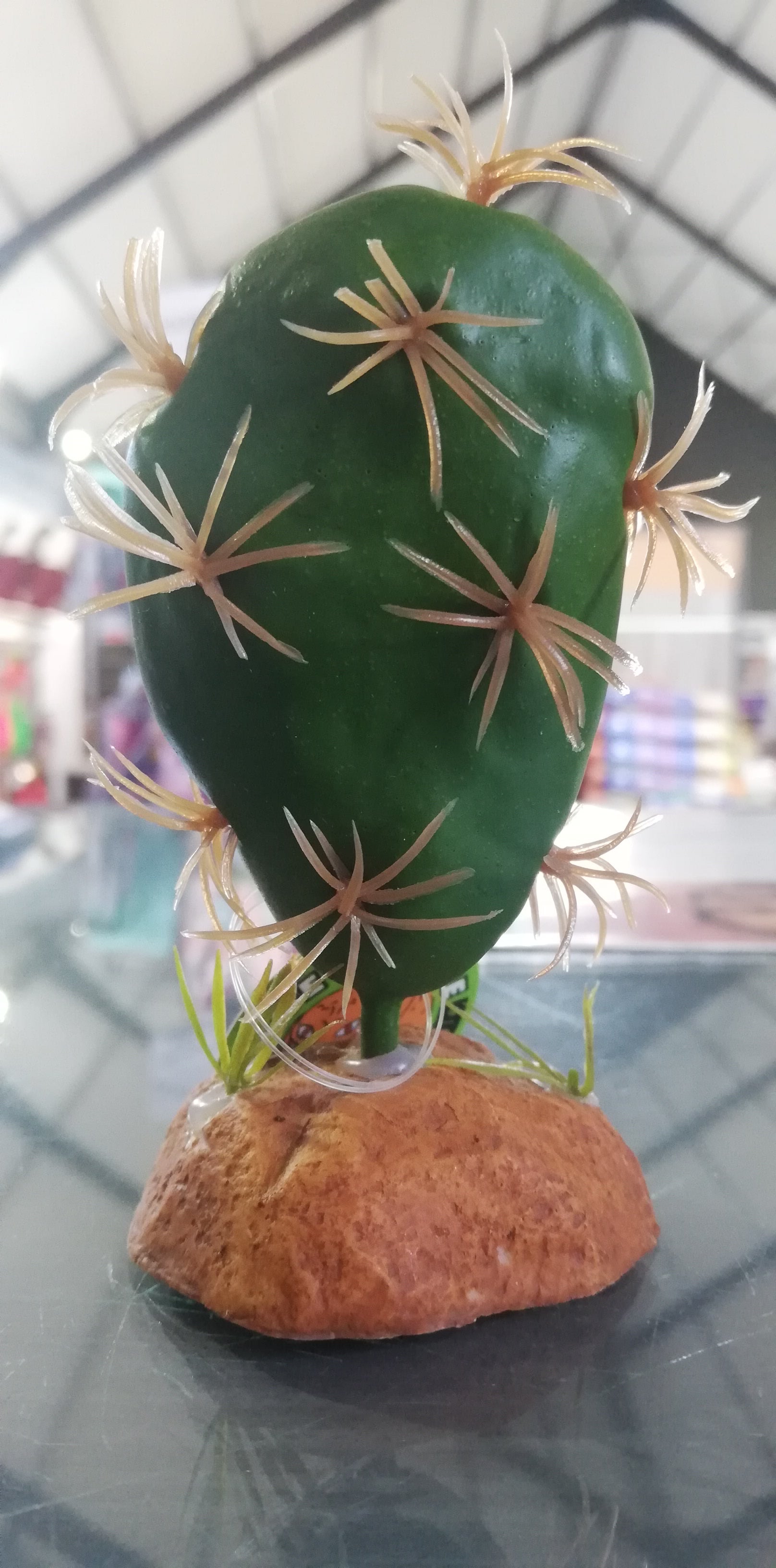 Cactus Plant QM-128