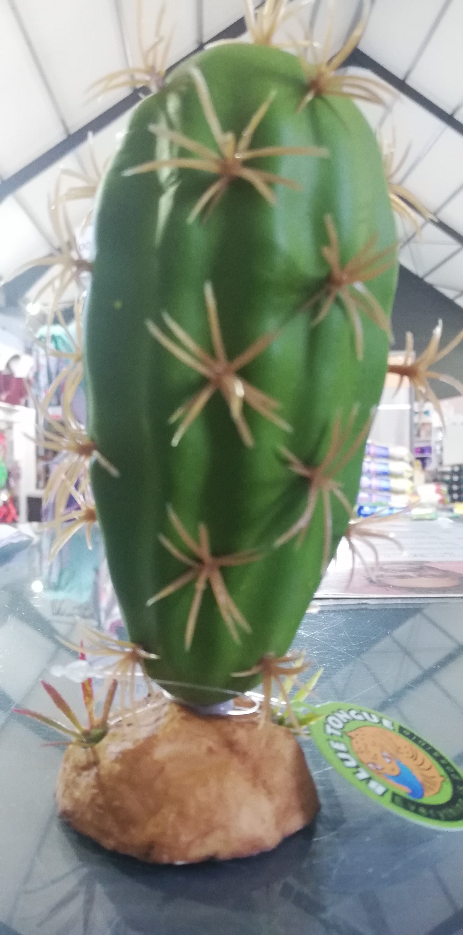 Cactus Plant QM-133