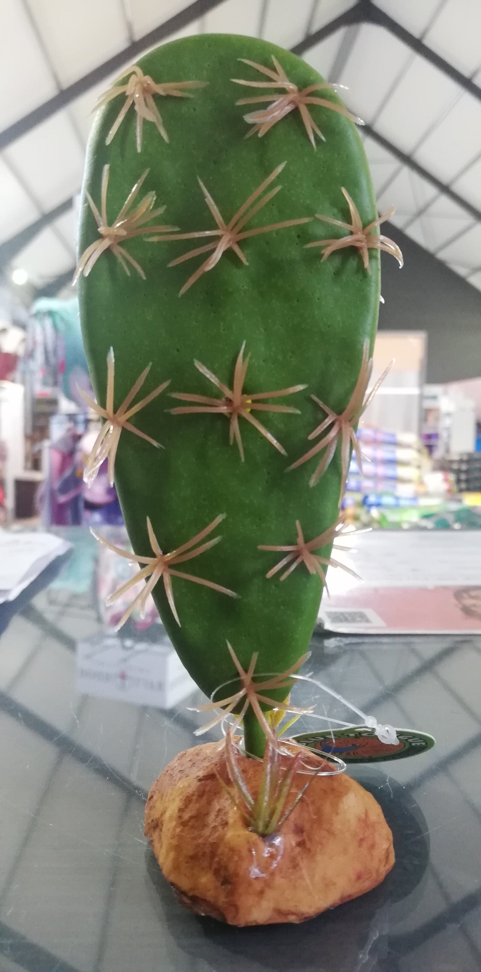 Cactus Plant QM-132