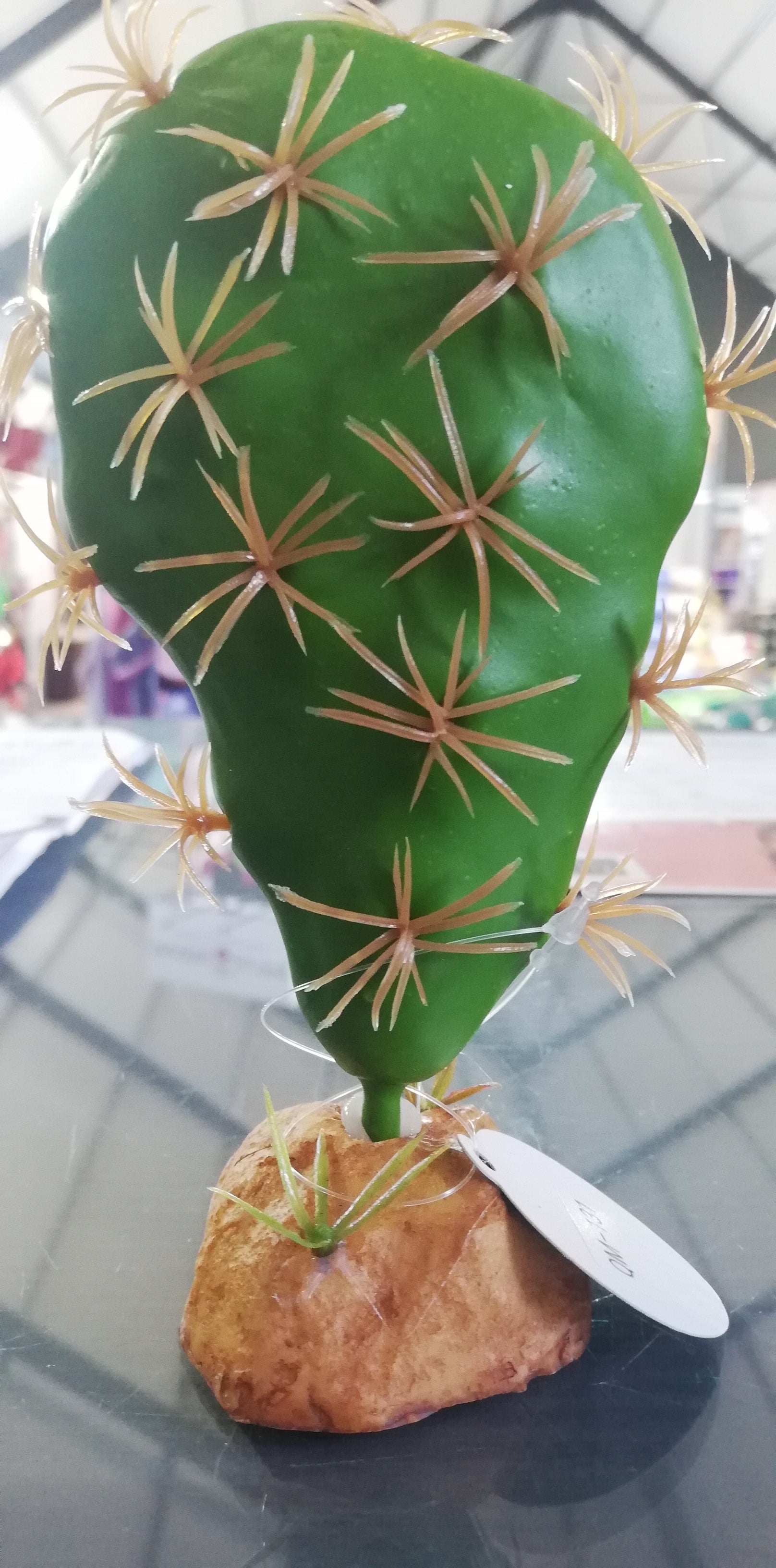 Cactus Plant QM-131