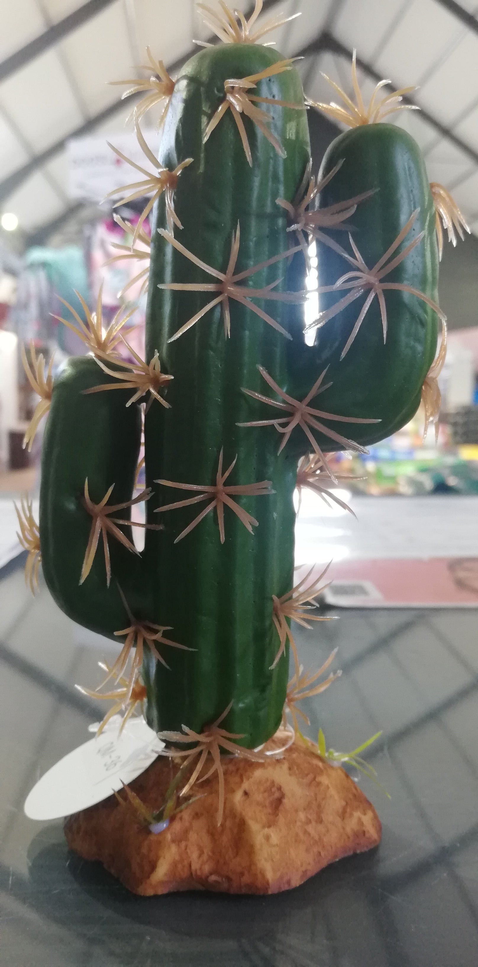 Cactus Plant QM-36
