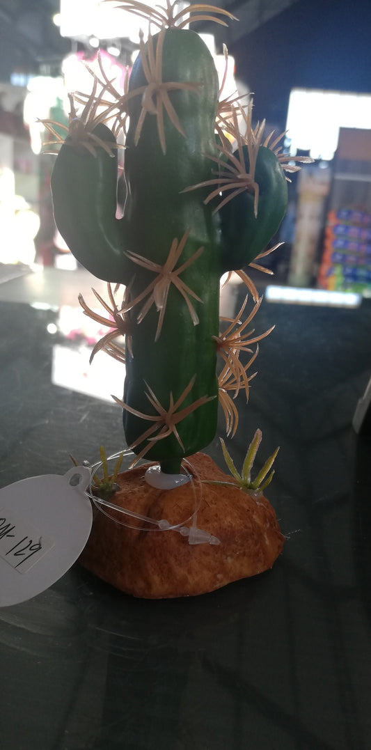 Cactus Plant QM-129