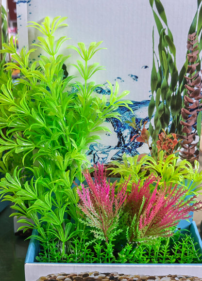 Akwa Multi Plastic Plants