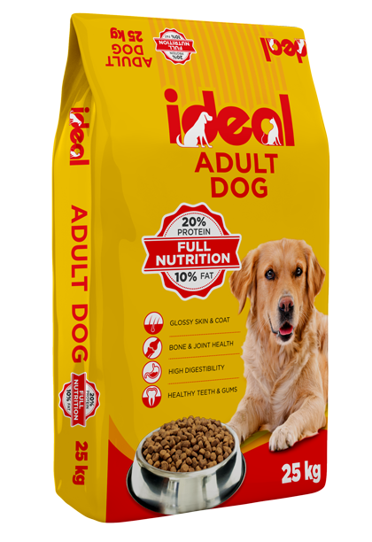 Ideal Dog Adult