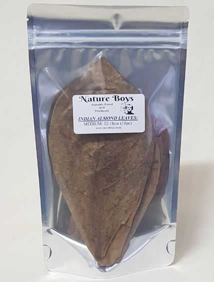 Nature Boys - Indian Almond leaves 9-12cm (10pc)