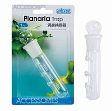 Ista Planaria Trap