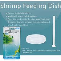 Ista Shrimp Dish