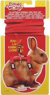 LW Rabbit Harness And Lead Set