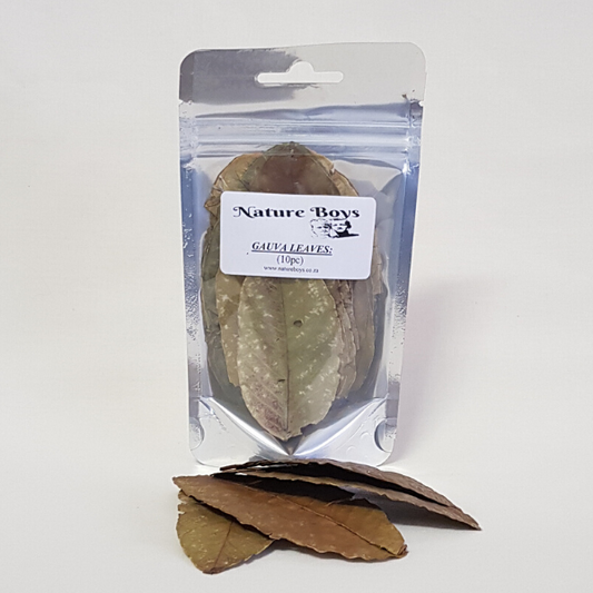 Nature Boys Guava Leaves 10pc