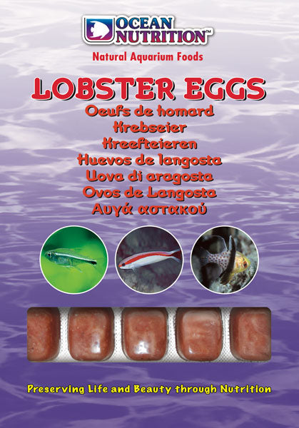 Ocean Nutrition Lobster Eggs (Invertebrates & Freshwater)