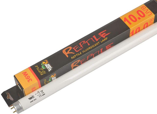 Lucky Herp UVB10.0 T8 Fluorescent Lamp 36watt