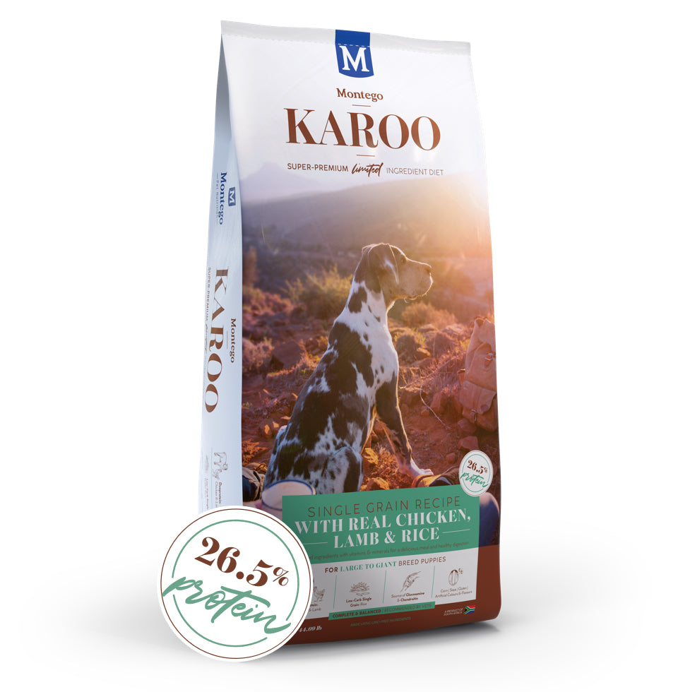 Montego Karoo Puppy (L/Breed) - Chicken, Lamb & Rice