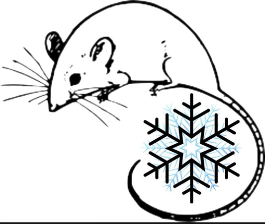 Frozen reptile feed
