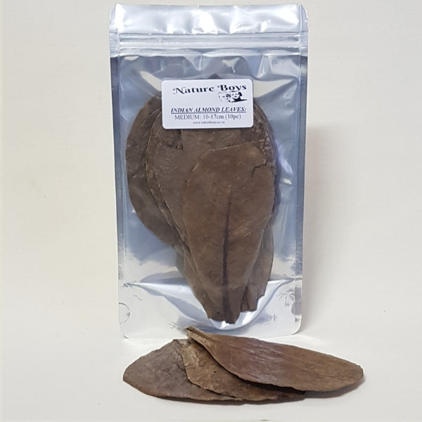 Nature Boys Indian Almond Leaves 12-14cm 10pc