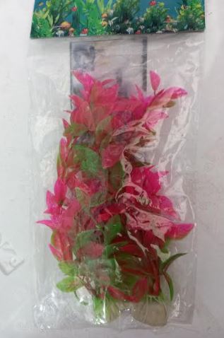 Assorted Double Pack  Of Plants