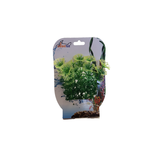 Akwa Plastic Plant - PP7308