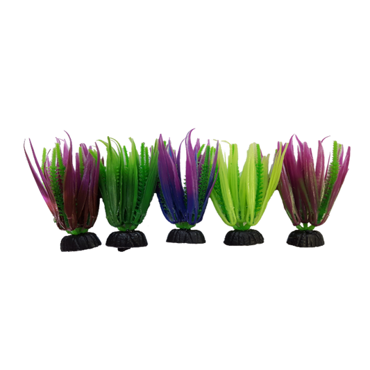 Akwa Plastic plant - PP9272