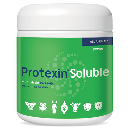 Kyron Protexin Soluble