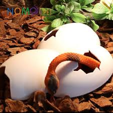 Reptile hide NA-01