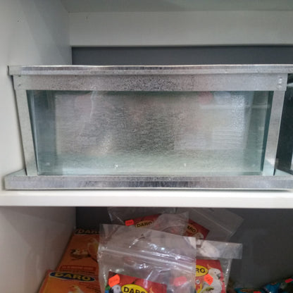 Daro Bird Metal Auto Feeder