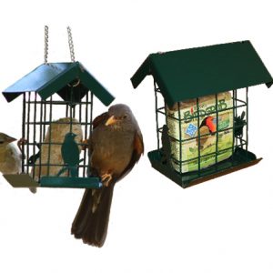 Elaine's Birding Suet Slab Holder