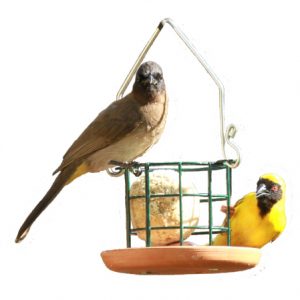 Elaine's Birding Terracotta Ball feeder