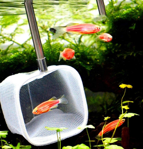 Hao Hai Telescopic Shrimp Net
